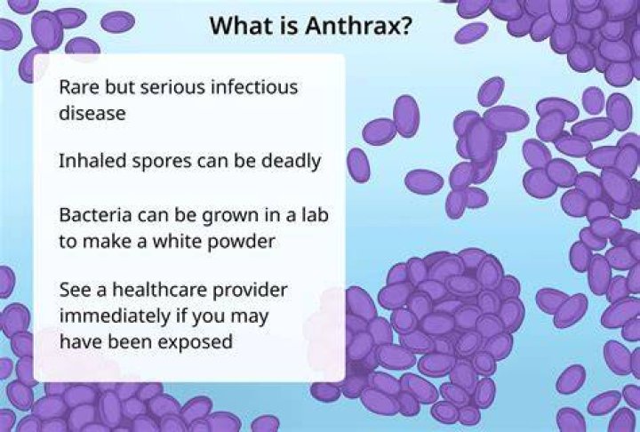 Are anthrax very contagious?
