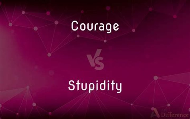 Are courage and stupidity the same?