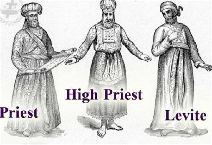 Could all levites be priests?