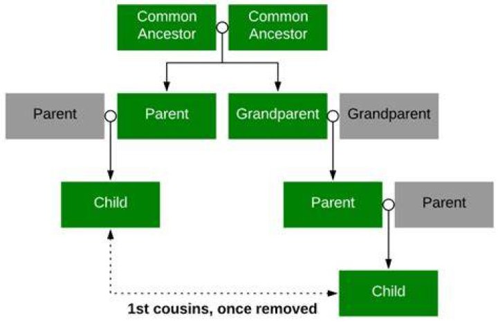 What does uncle twice removed mean?