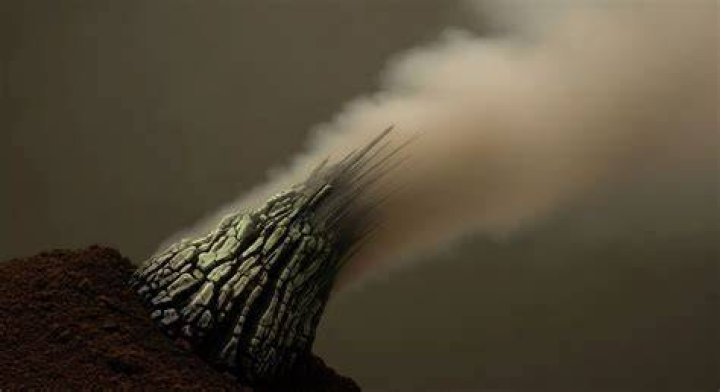 What is eurythermal organisms?