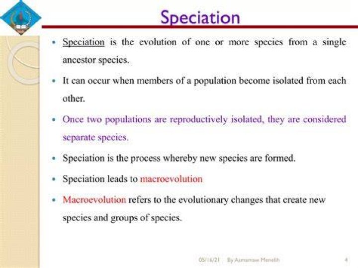 When can speciation occur?