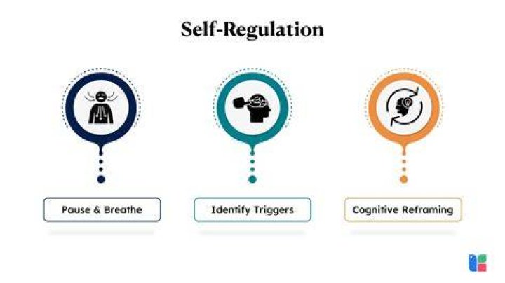 When does self regulation develop?
