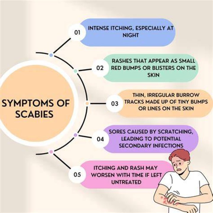 When scabies are healing?