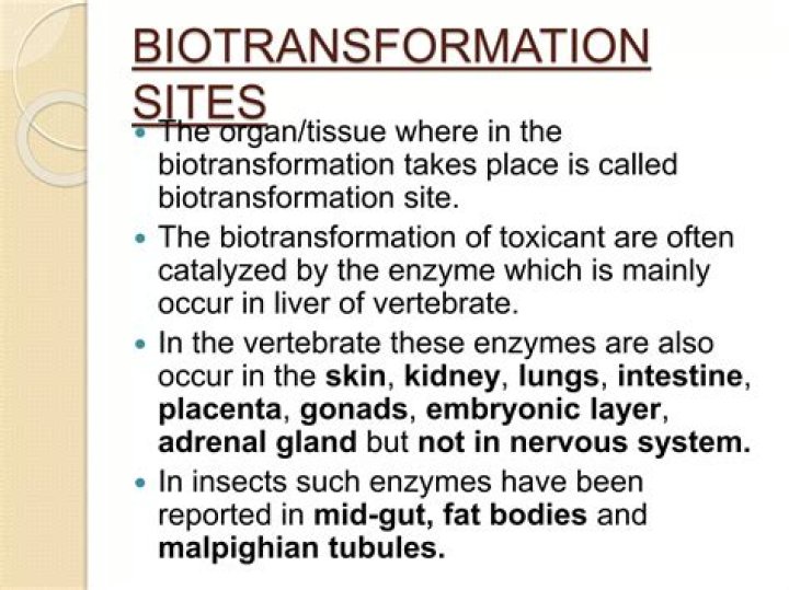 Where does biotransformation occur?